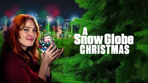 Die verzauberte Schneekugel Bild 6