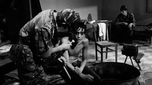 La Bataille d'Alger, l'empreinte Bild 3