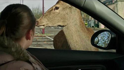 In the Dark Half Bild 7