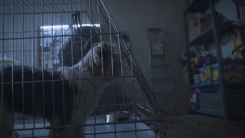 Becsületes megtaláló Bild 1