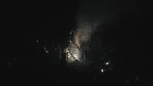 Shadows of Light Bild 6