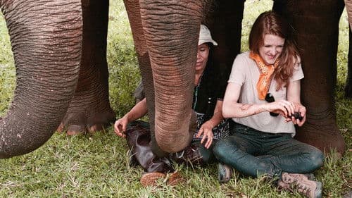 Love & Bananas Bild 5