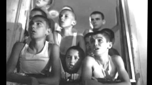 Rote Mohnblumen an den Wänden Bild 1