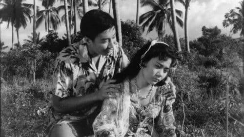 血染相思谷 Bild 1