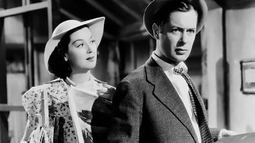 Fast and Loose Bild 1