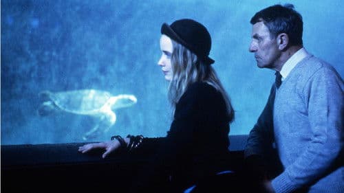 Im Jahr der Schildkröte Bild 2