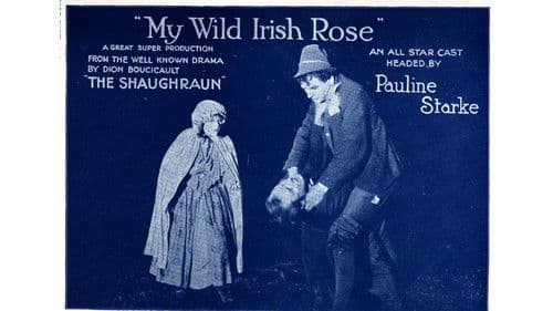 My Wild Irish Rose Bild 1