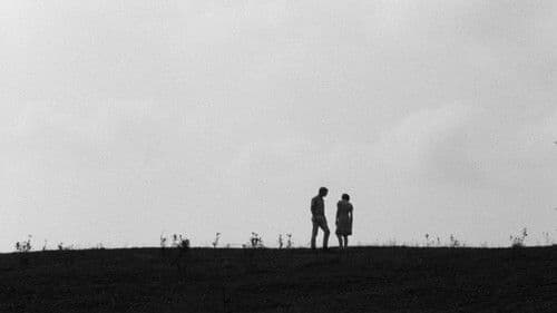 Spring Night, Summer Night Bild 1