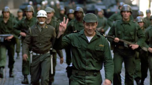 Nelken für die Freiheit Bild 2