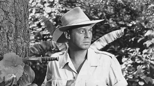 Diamantenjagd im Urwald Bild 1