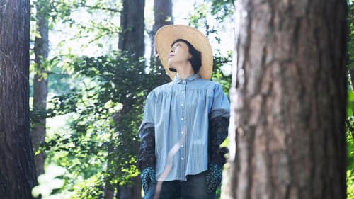 ペンションメッツァ Bild 3