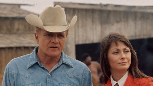 Second Chance Bild 1