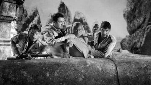 Aufstand in Sidi Hakim Bild 4