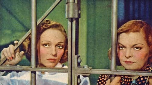 Numbered Woman Bild 1