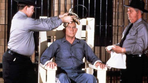 Mord im falschen Bezirk Bild 1