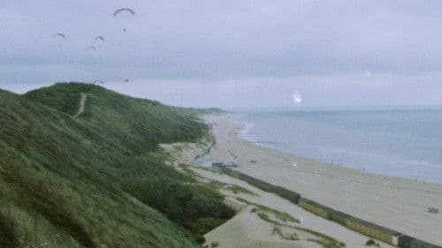 Seen From Here, I Feel Like Belonging Bild 3