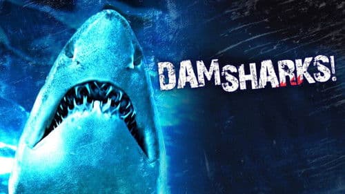 Dam Sharks! Bild 2