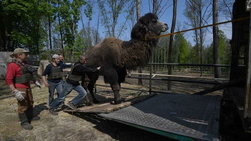 Checkpoint Zoo Bild 2