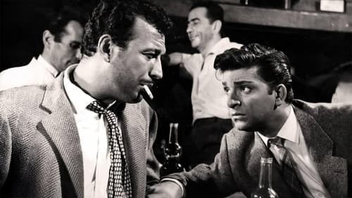 Hindistan Cevizi Bild 3