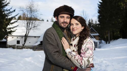 Als ein Stern vom Himmel fiel Bild 1