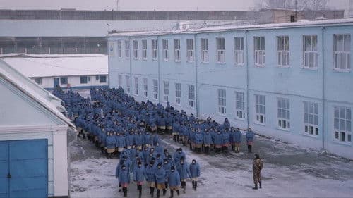 Debüt hinter Gittern Bild 1