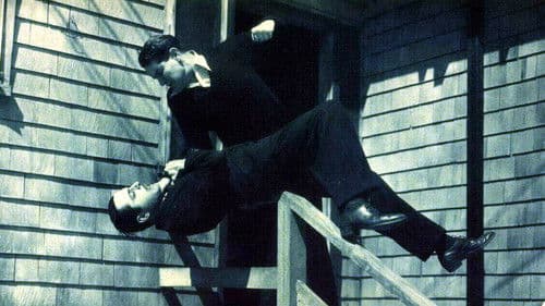 Rip Roaring Riley Bild 1