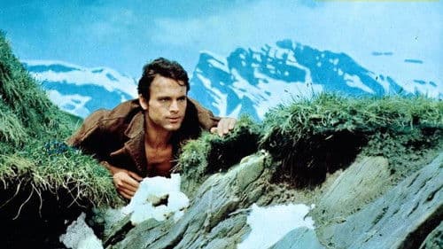 Ruf der Wälder Bild 1