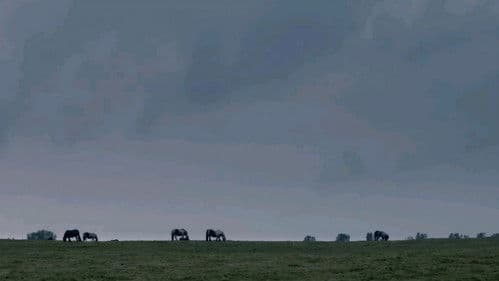 The Selfish Giant Bild 4