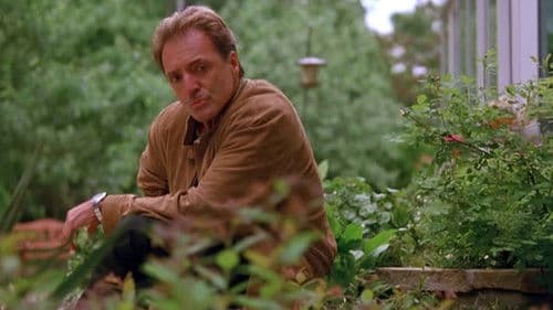 Federal Protection - Im Visier der Mafia Bild 3