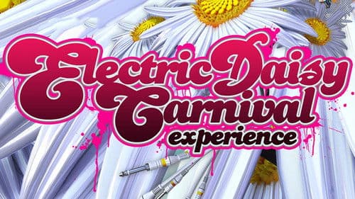 Electric Daisy Carnival Experience Bild 1