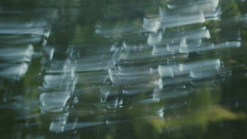 Para atrapar el viento Bild 7