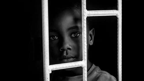 House of Children Bild 1