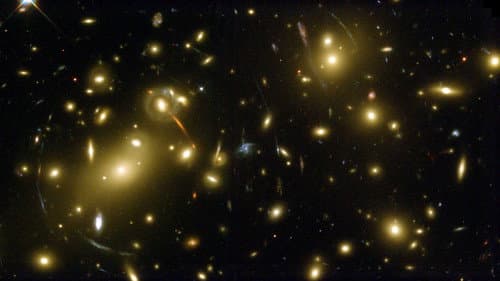 Stephen Hawking and the Theory of Everything Bild 1