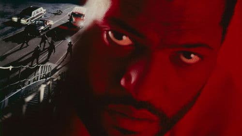 Jenseits der weißen Linie Bild 2