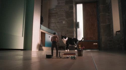 Der Mann, der immer kleiner wurde Bild 5