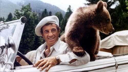 Das As der Asse Bild 2