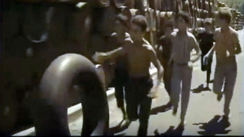 Les Moineaux d'Algérie Bild 1