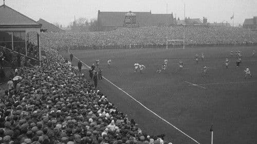 Lockender Lorbeer Bild 8