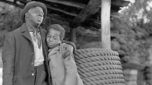 Hearts in Dixie Bild 1