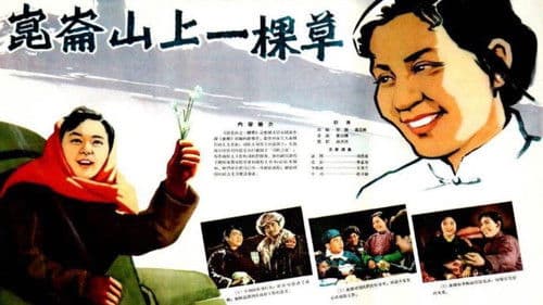 昆仑山上一棵草 Bild 1