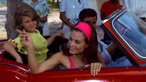 Camino del Rocío Bild 1