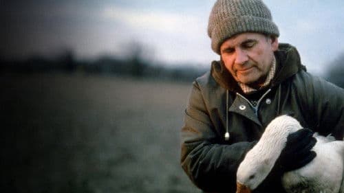 Laughterhouse Bild 1