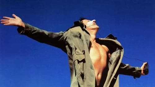 Shine - Der Weg ins Licht Bild 1