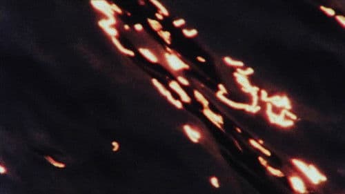 L'Eau de la Seine Bild 5