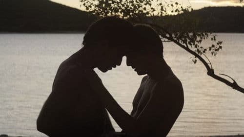 Der Fremde am See Bild 8