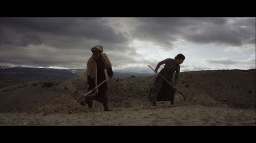 Ride By Night Bild 4