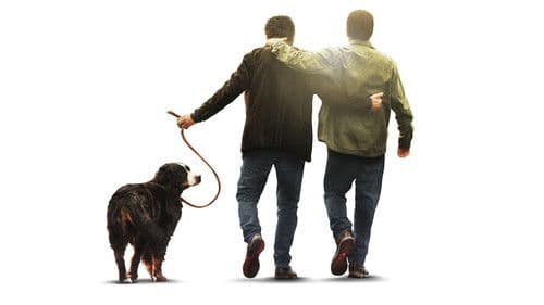 Domani è un altro giorno Bild 7