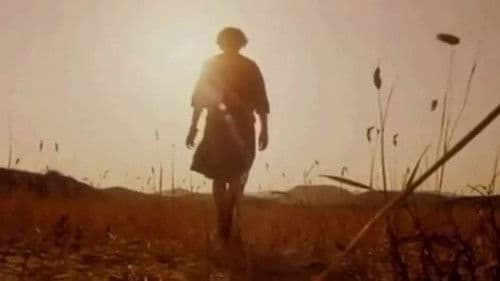 Lost for Words Bild 2