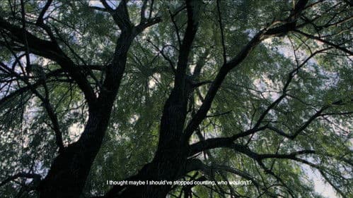 რასაც ვარსკვლავები არ ამბობენ Bild 3