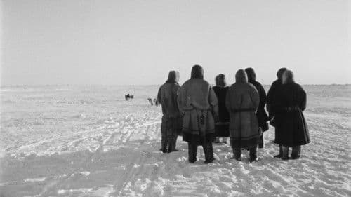 Seitsemän laulua tundralta Bild 2